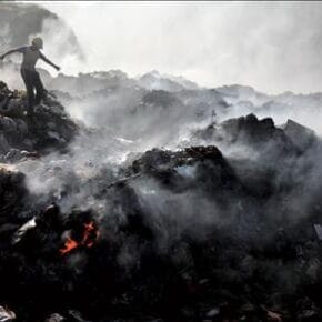 İşte en iyi National Geographic fotoğrafları. 2 cesaret 1
