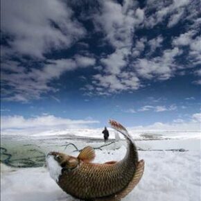 İşte en iyi National Geographic fotoğrafları. 10 gez kultur 3