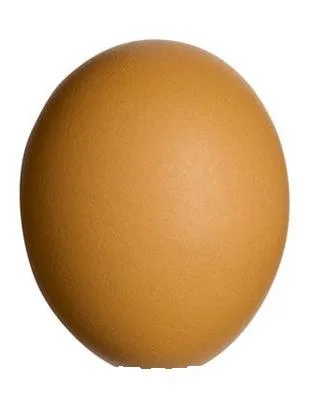 Kolomb’un Yumurtası