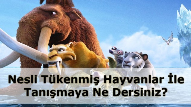 Nesli Tükenmiş Hayvanlar Sergisi