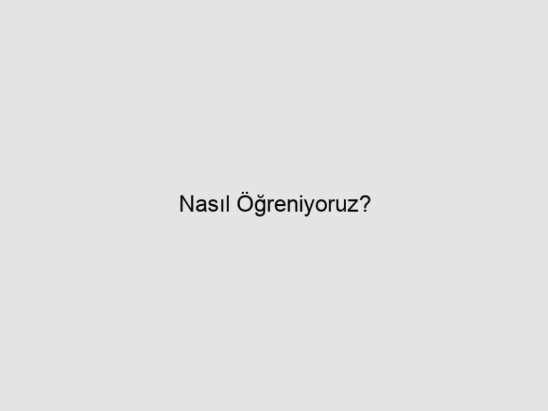Nasıl Öğreniyoruz?