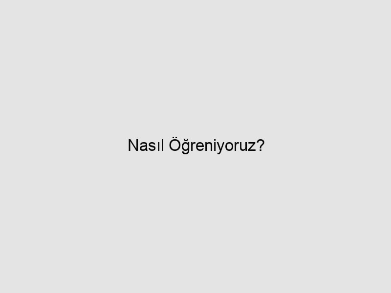Nasıl Öğreniyoruz? 1 wapt image 23