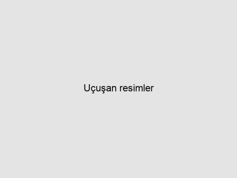 Uçuşan resimler