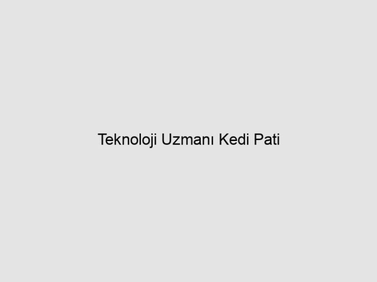 Read more about the article Teknoloji Uzmanı Kedi Pati