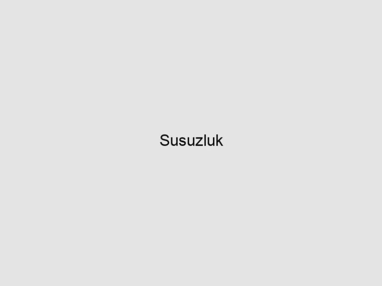 Read more about the article Susuzluk